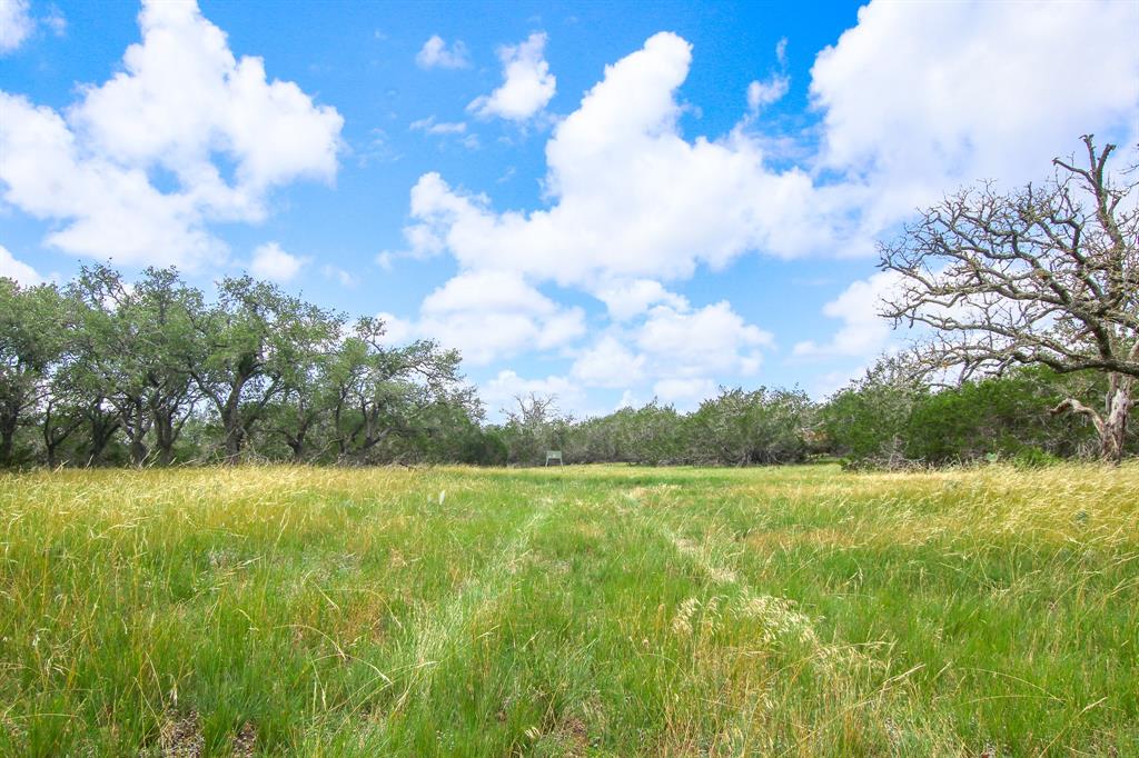 230 Old Roeder Property Photo 35