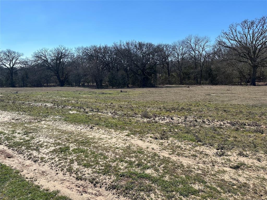Tract 5 Co Rd 3103 Property Photo 8