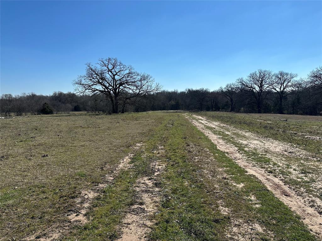 Tract 5 Co Rd 3103 Property Photo 14
