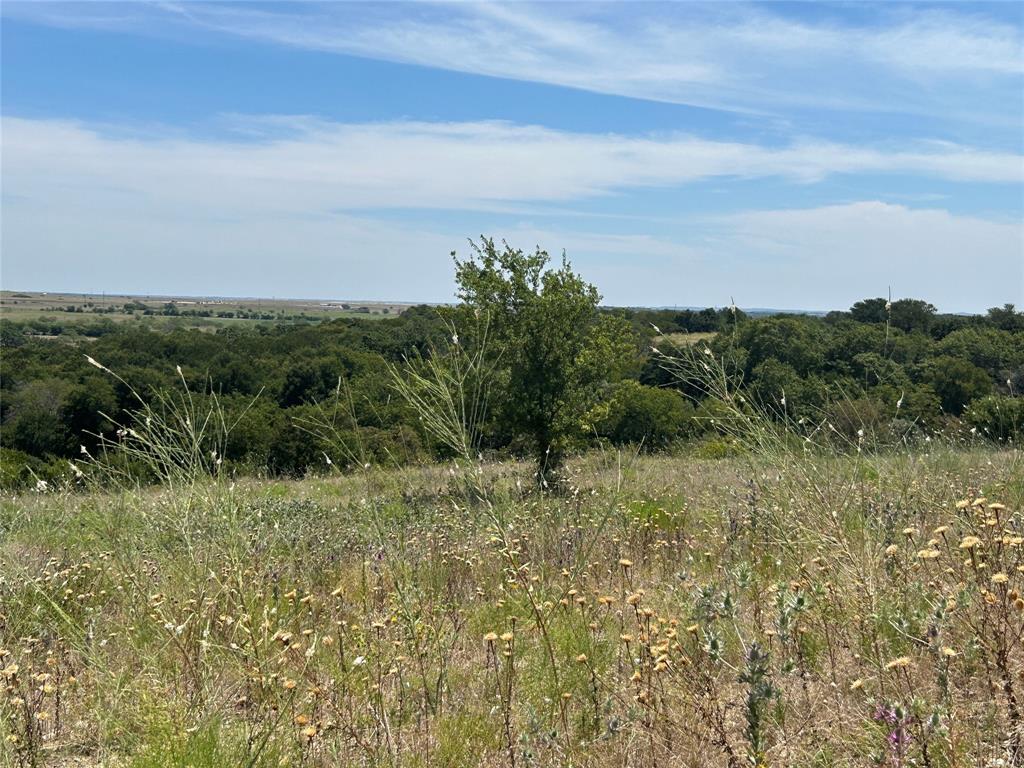 3601 Bear Creek Road Property Photo 1