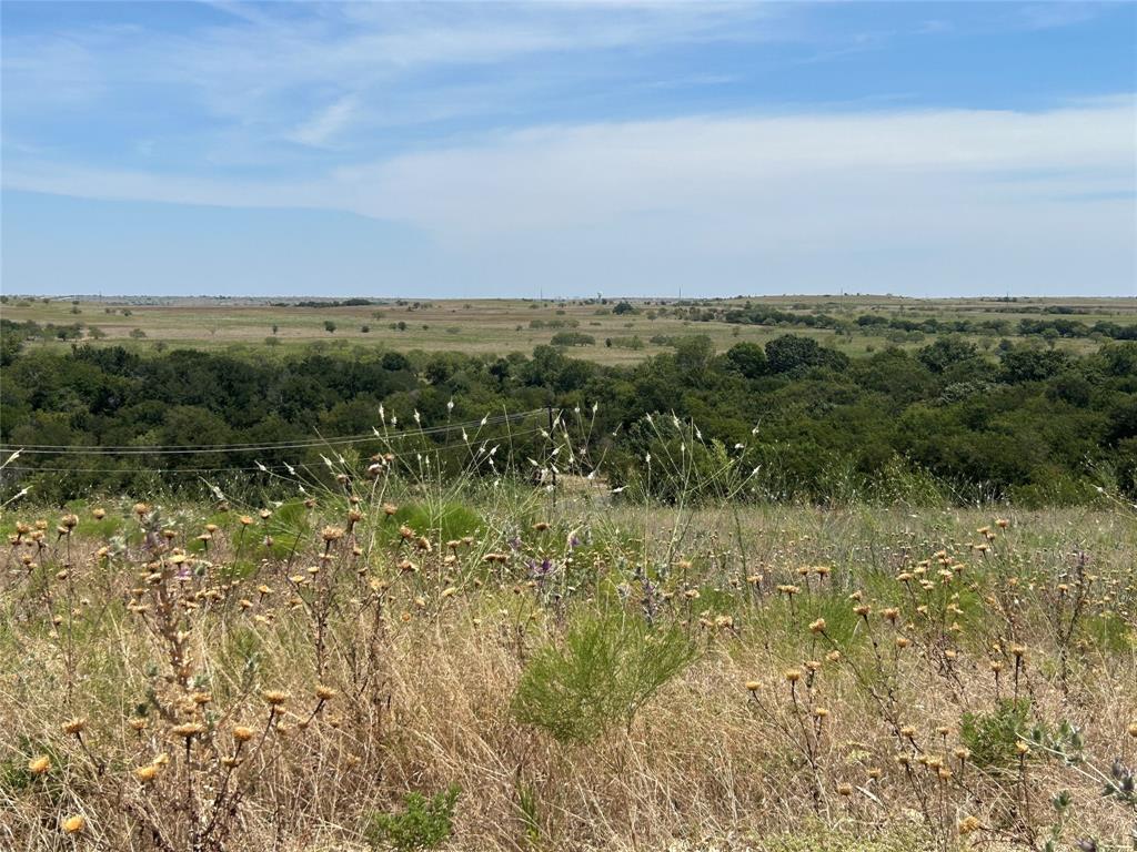 3601 Bear Creek Road Property Photo 14