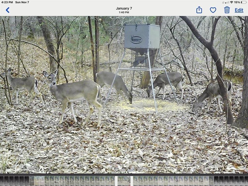 37100 County Line Road Property Photo