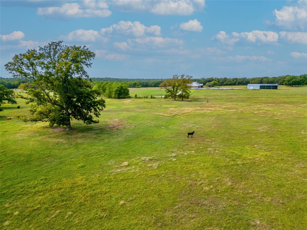 453 Tower Road Property Photo 37