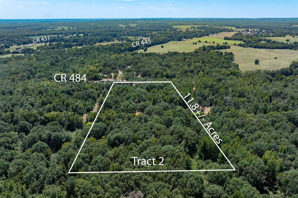 Tract 2 County Road 484 Property Photo 2