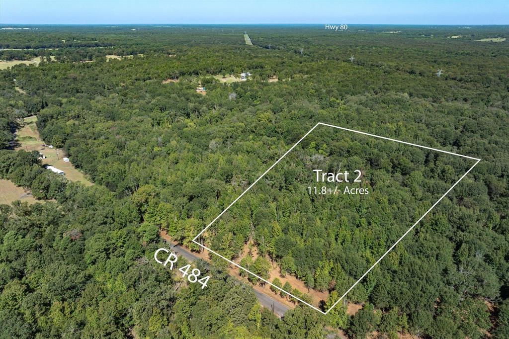Tract 2 County Road 484 Property Photo 3