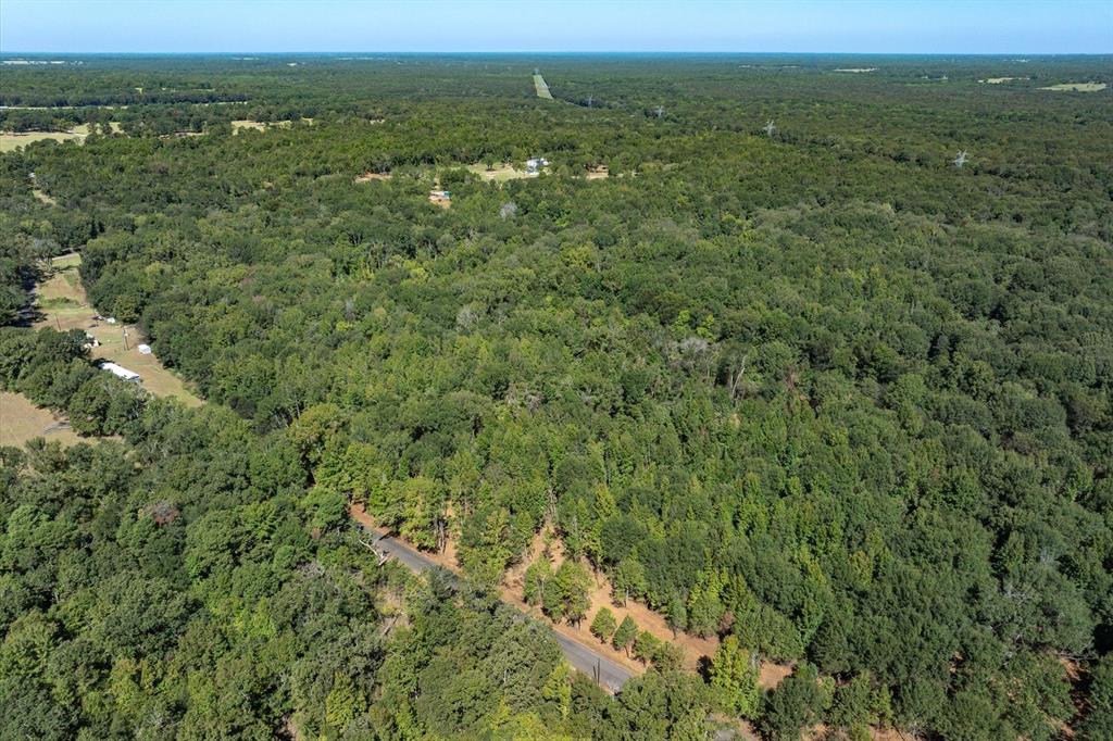 Tract 2 County Road 484 Property Photo 6