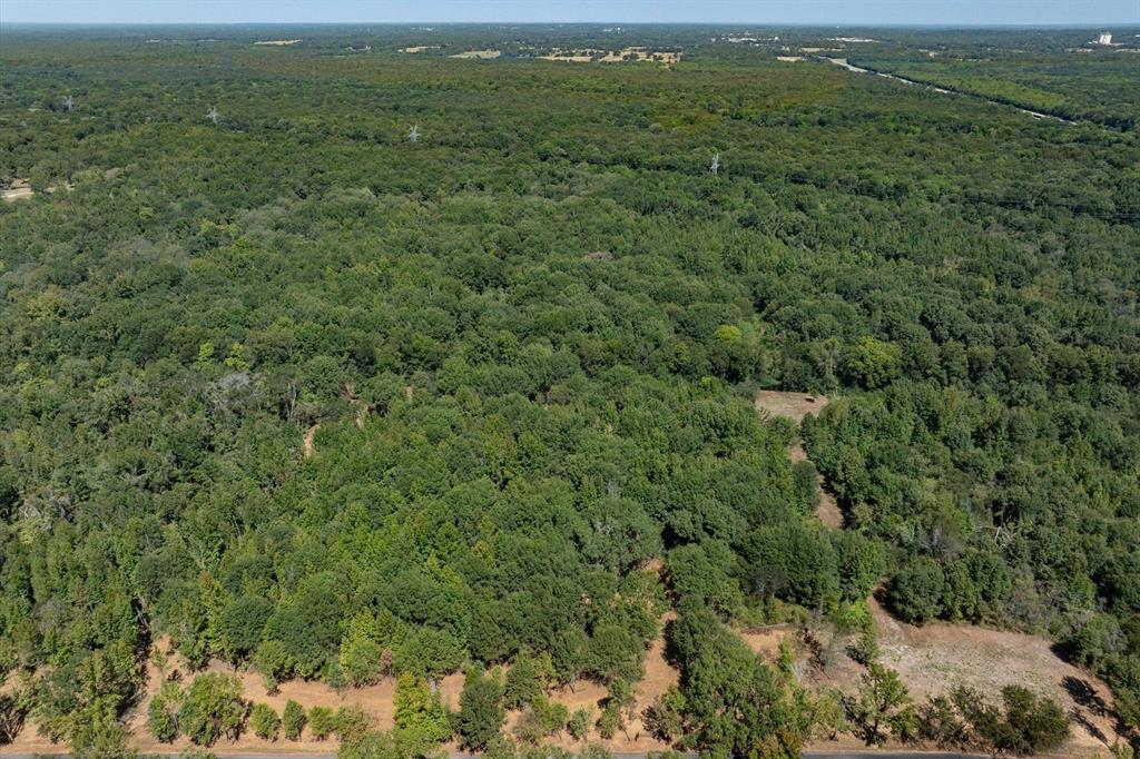Tract 2 County Road 484 Property Photo 8