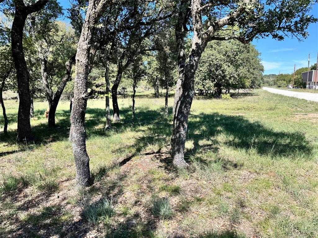Tbd Lots 874 & 875 Oak Point Drive Property Photo 6