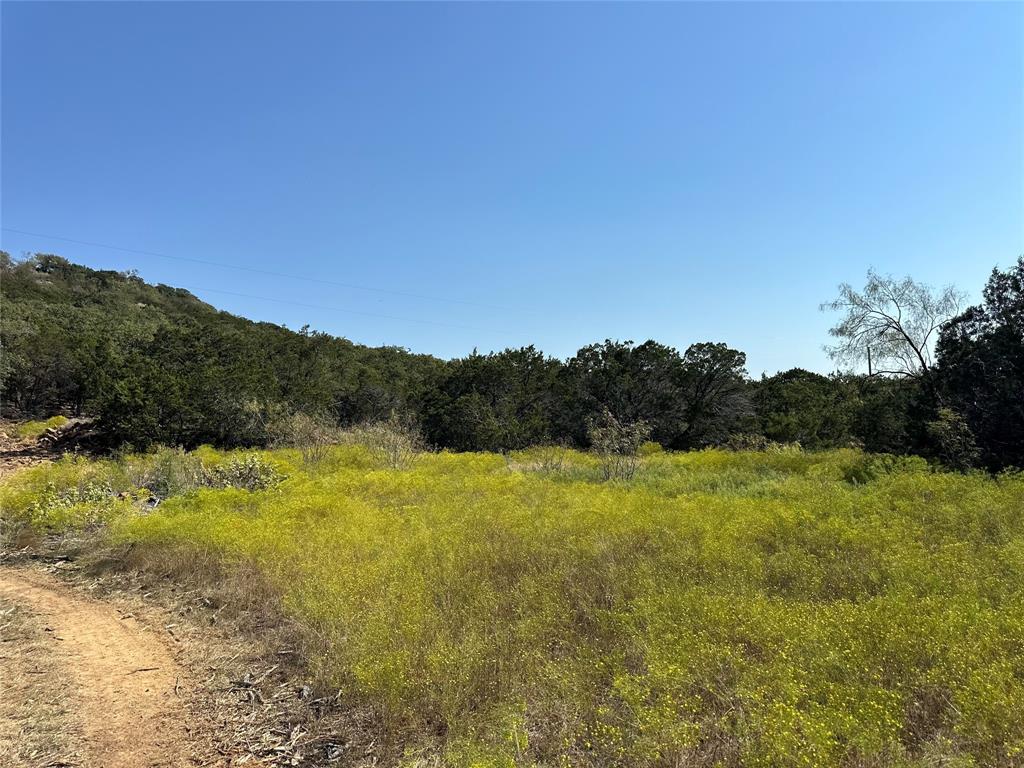 106 Wooded Acres Drive Property Photo 4