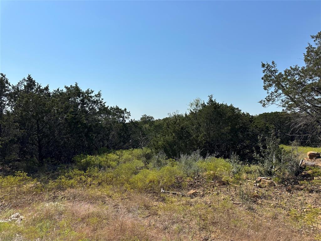 106 Wooded Acres Drive Property Photo 8