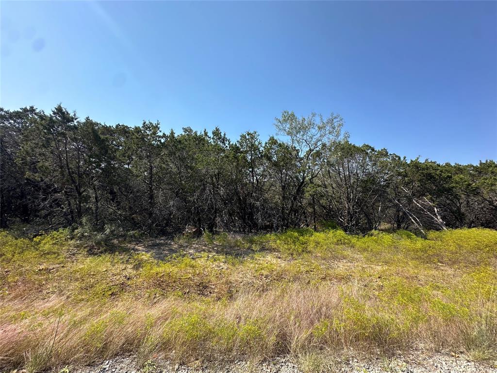 106 Wooded Acres Drive Property Photo 11