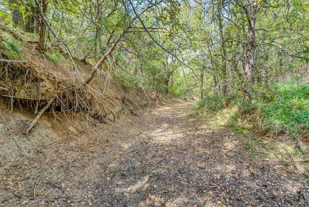 12775 County Road 103 Property Photo 9