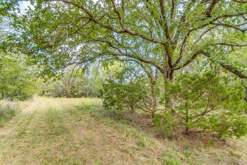 12775 County Road 103 Property Photo 10