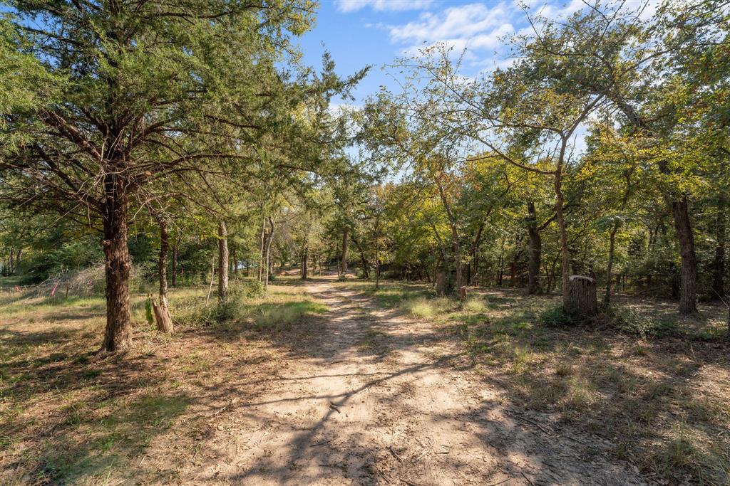 Tbd Pr 3195 Property Photo 8