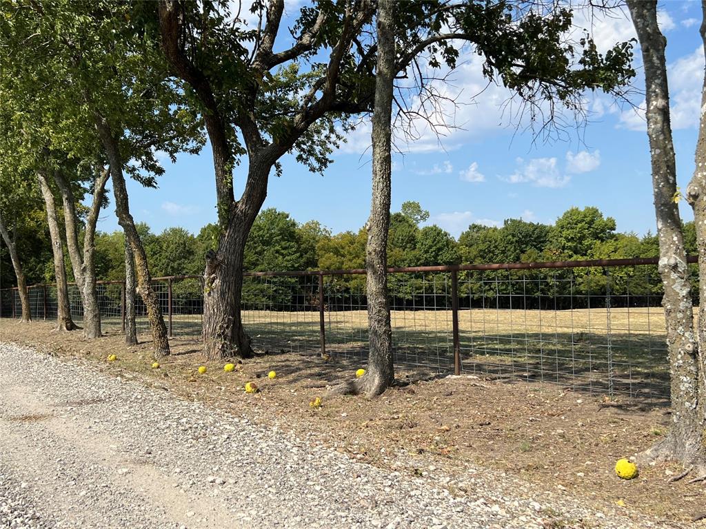984 County Road 4027 Property Photo 18