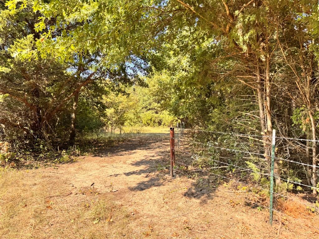 984 County Road 4027 Property Photo 23