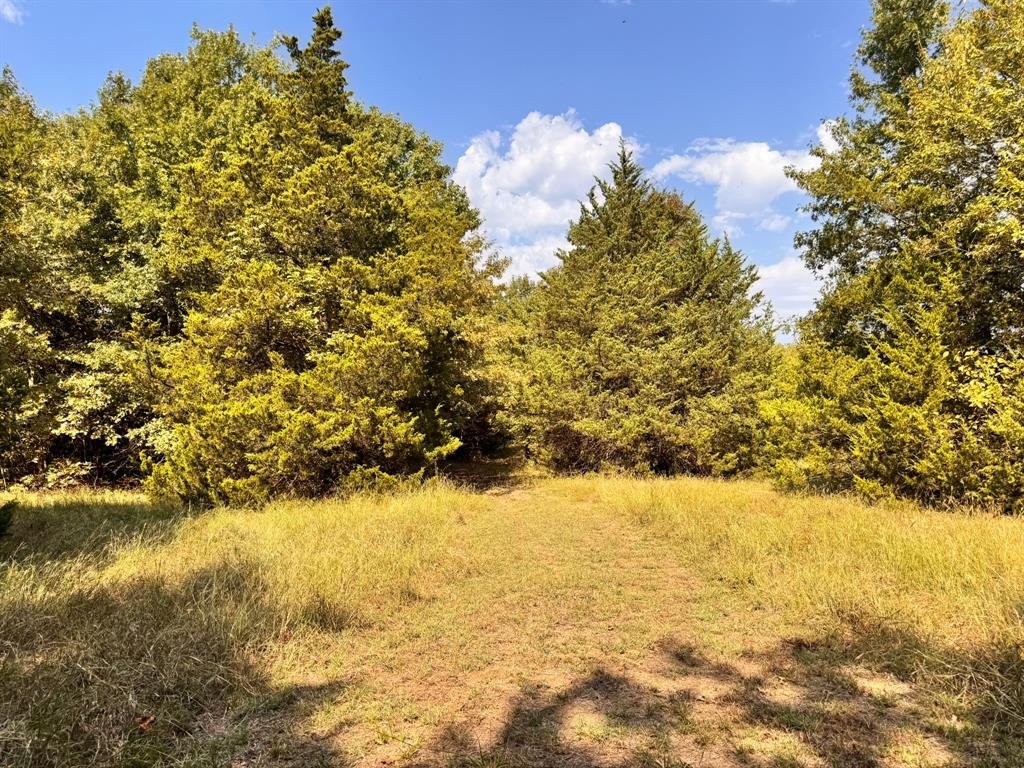 984 County Road 4027 Property Photo 24