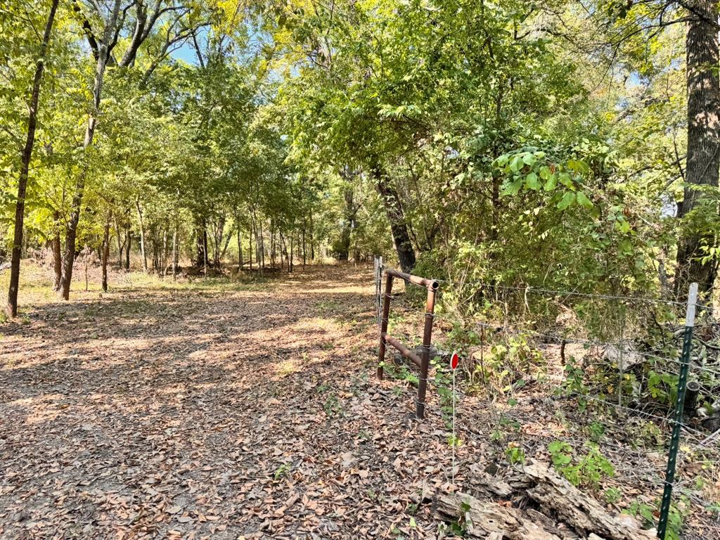 984 County Road 4027 Property Photo 25