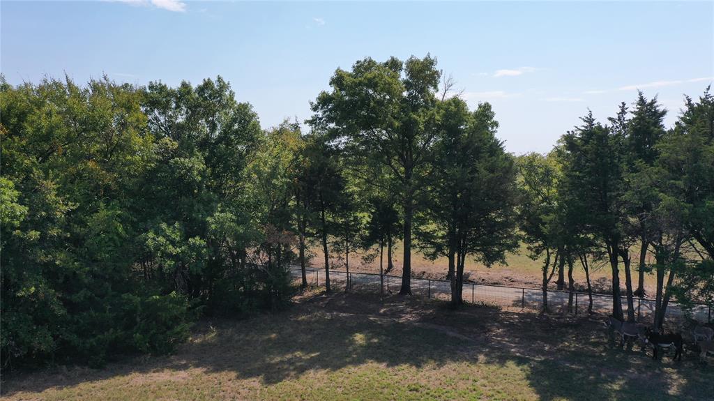 984 County Road 4027 Property Photo 38