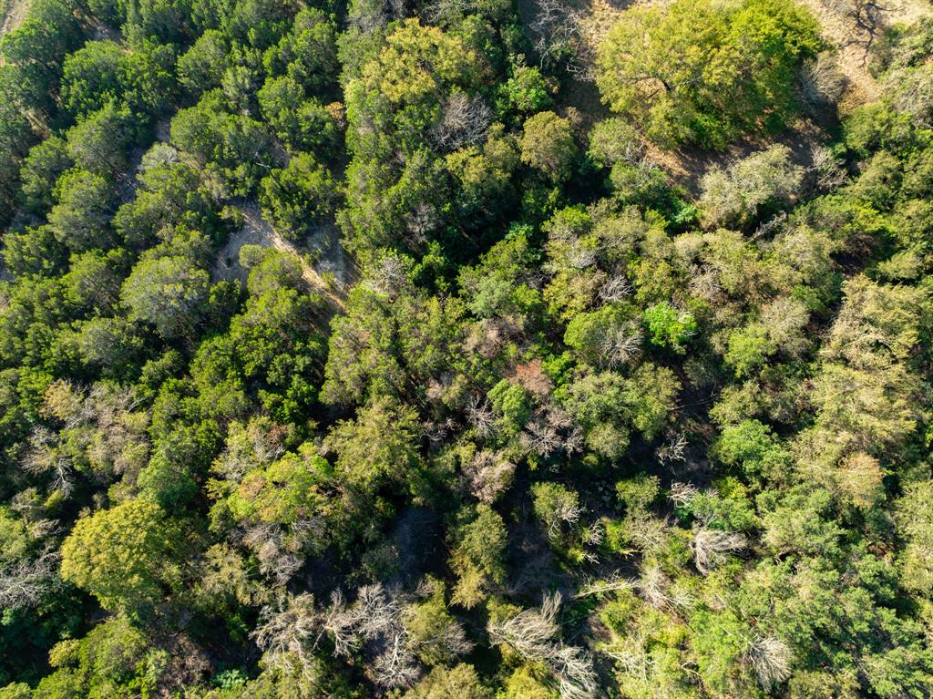 Tbd Tx-6 Property Photo 9