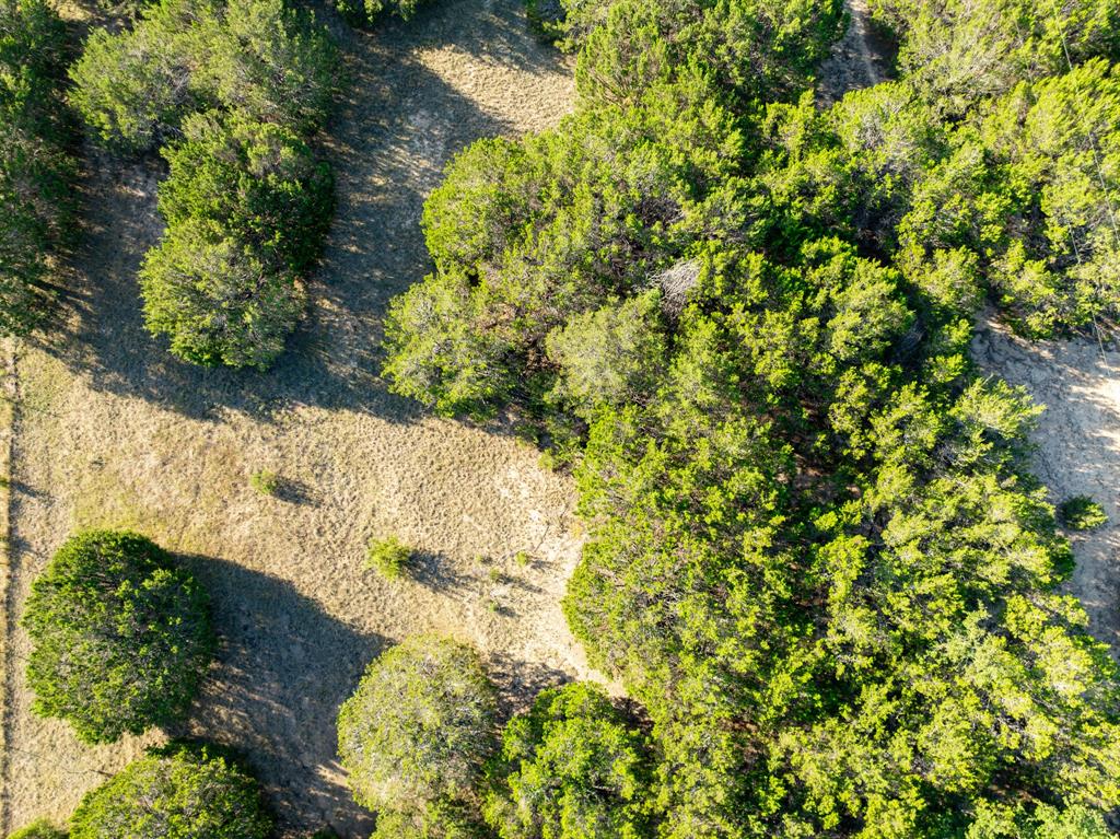Tbd Tx-6 Property Photo 16