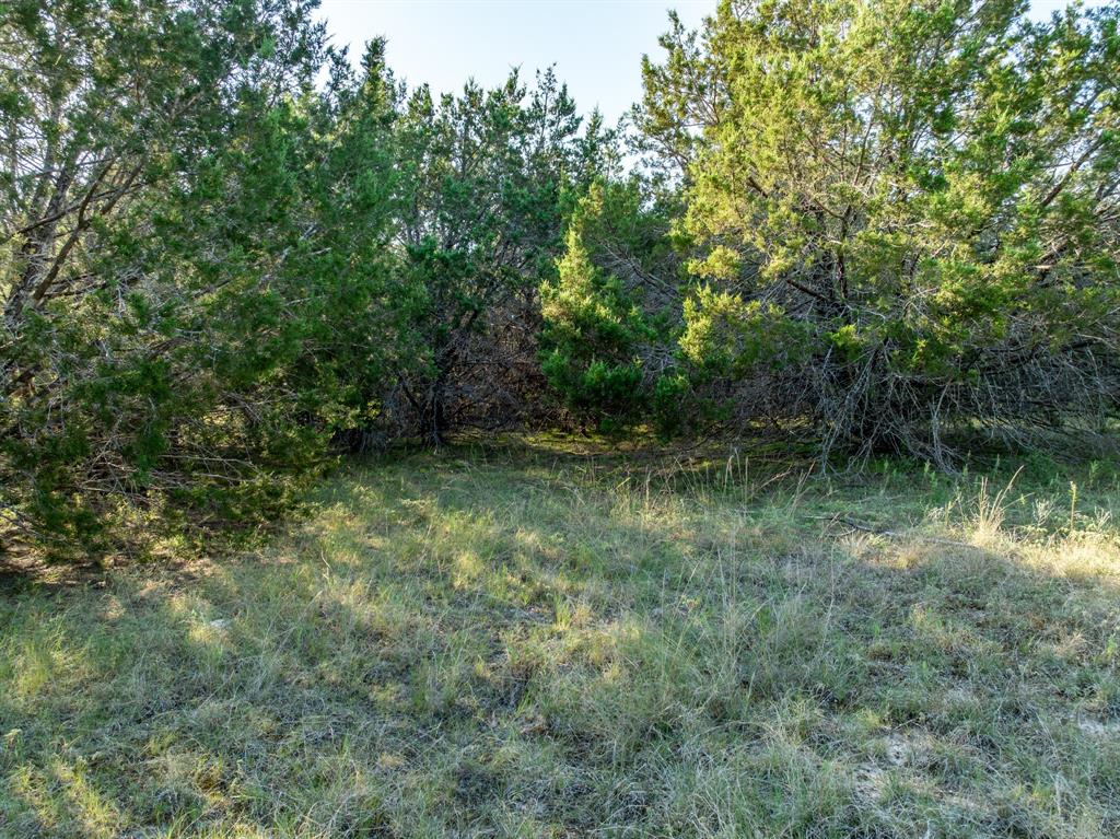 Tbd Tx-6 Property Photo 20