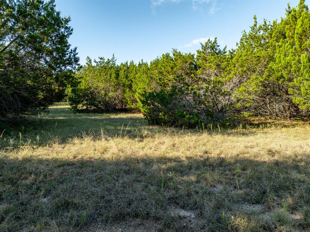 Tbd Tx-6 Property Photo 21