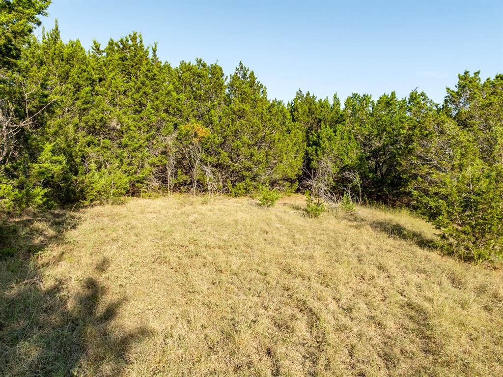 Tbd Tx-6 Property Photo 22
