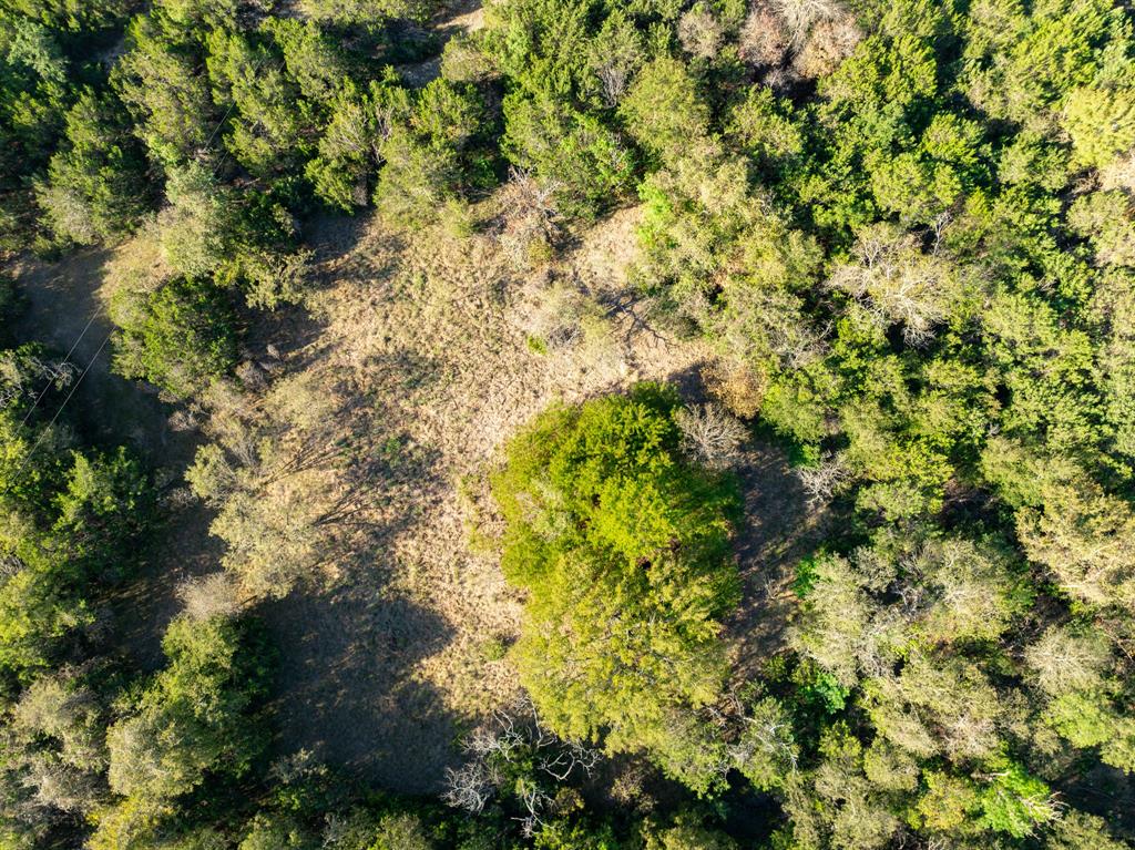 Tbd Tx-6 Property Photo 24