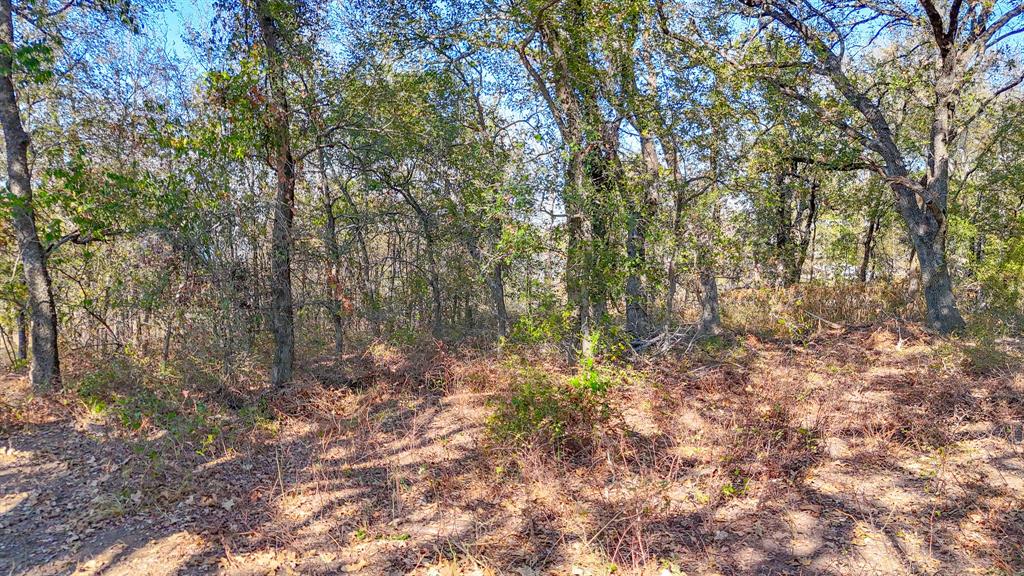 Lot 14 Bordeaux Lane Property Photo 17