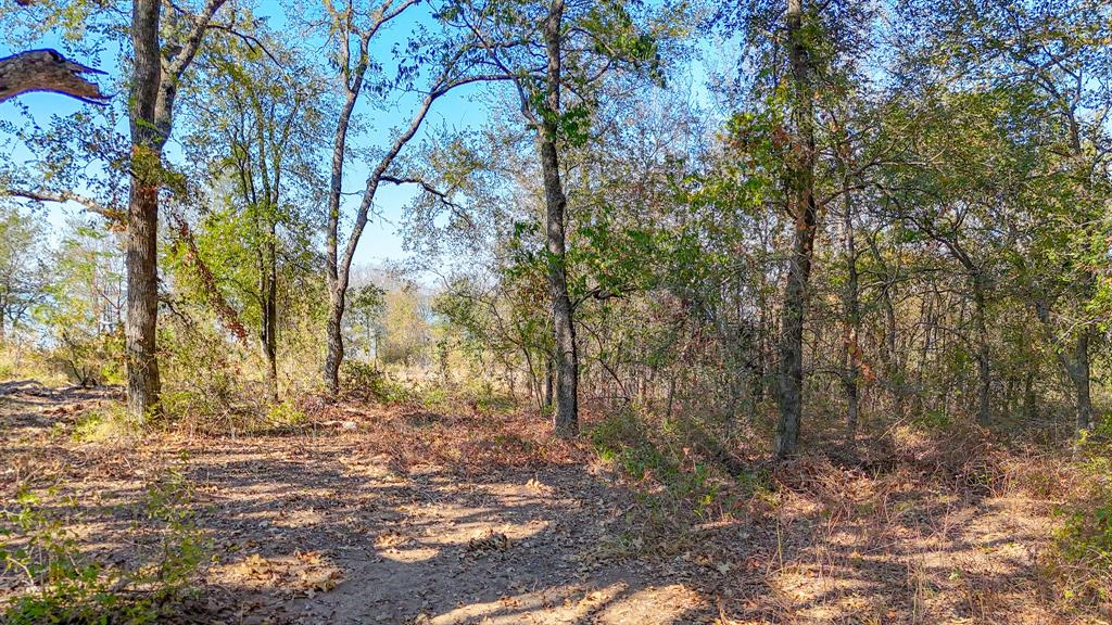 Lot 14 Bordeaux Lane Property Photo 19