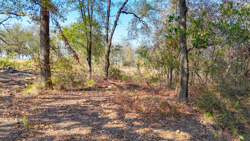 Lot 14 Bordeaux Lane Property Photo 20