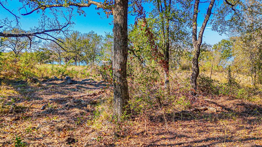 Lot 14 Bordeaux Lane Property Photo 21