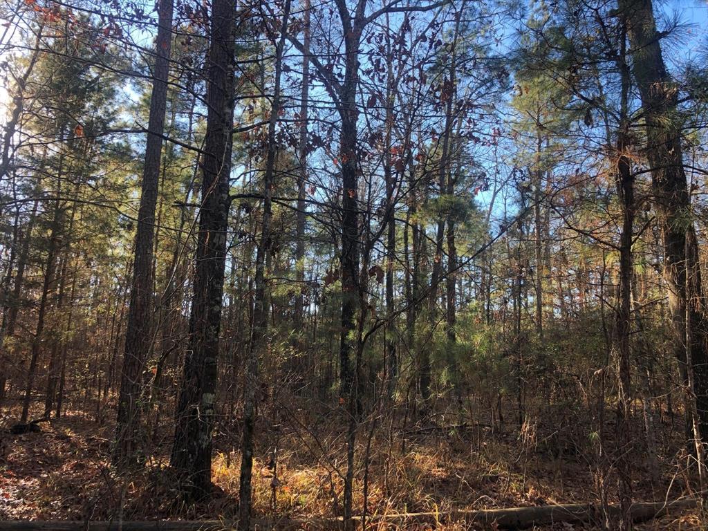 0 Highway 160 Property Photo 4