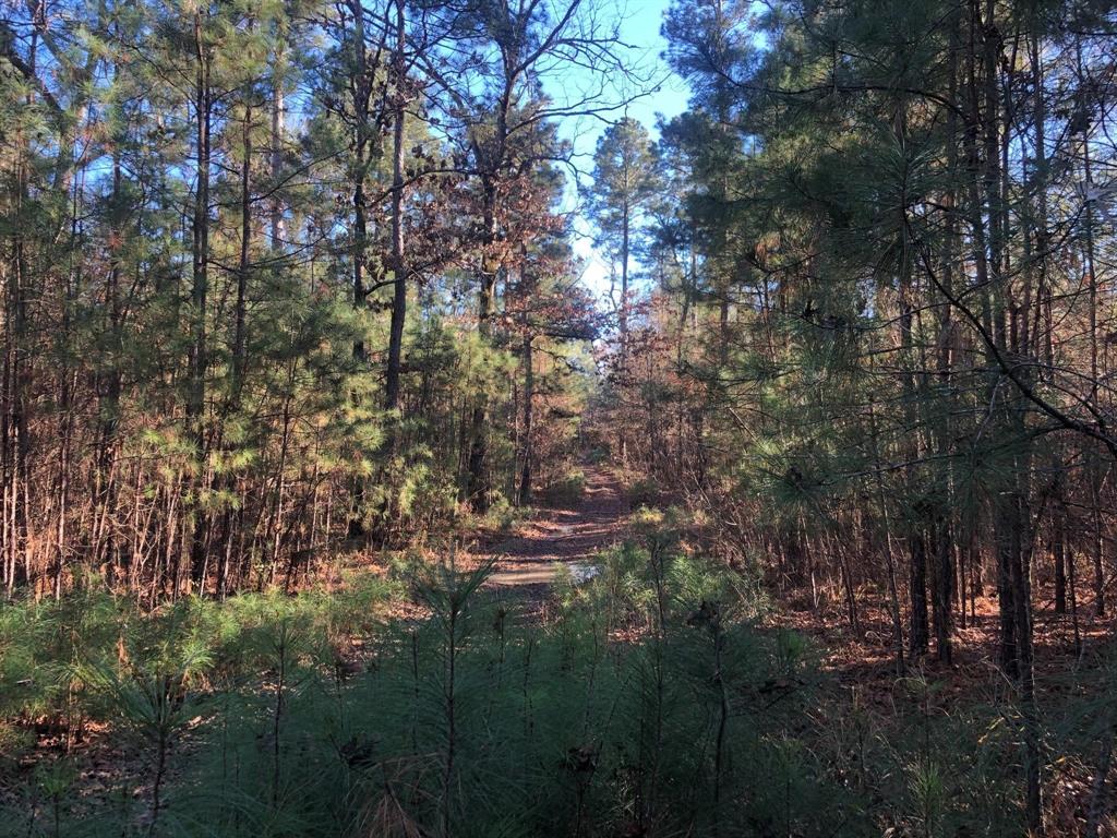 0 Highway 160 Property Photo 5