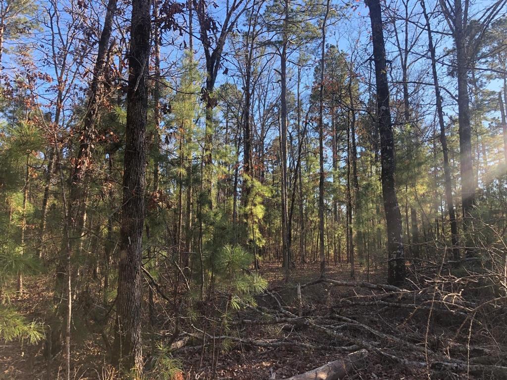 0 Highway 160 Property Photo 6