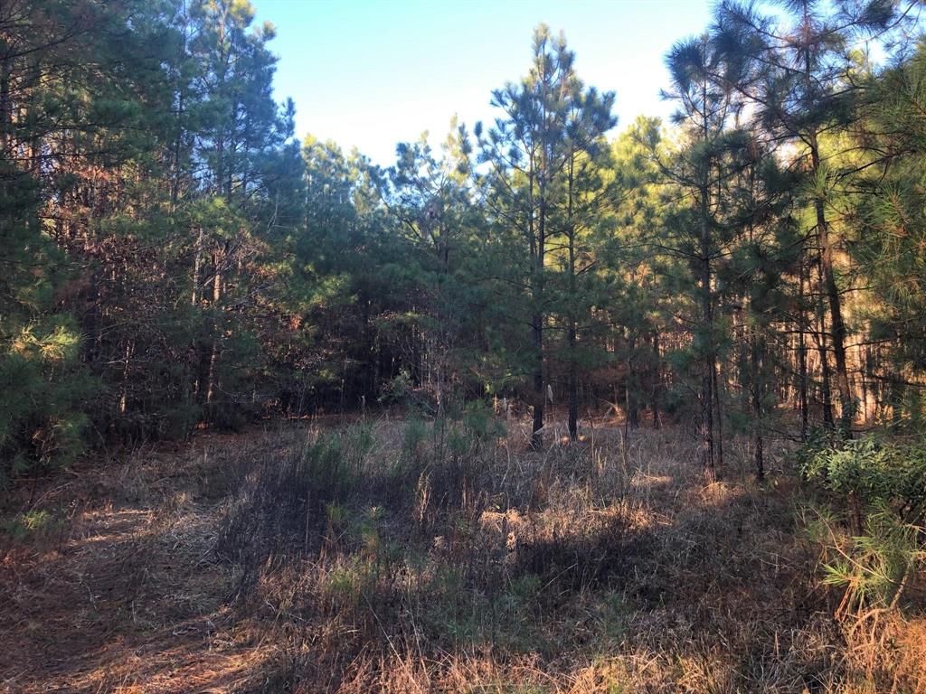 0 Highway 160 Property Photo 7