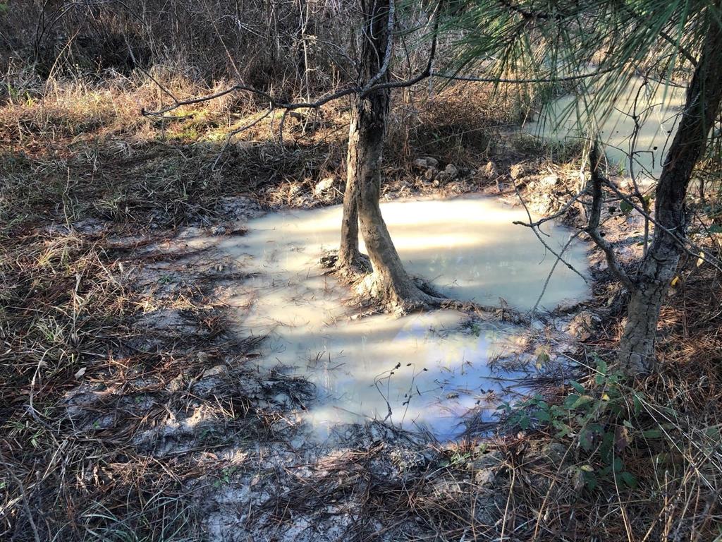 0 Highway 160 Property Photo 8