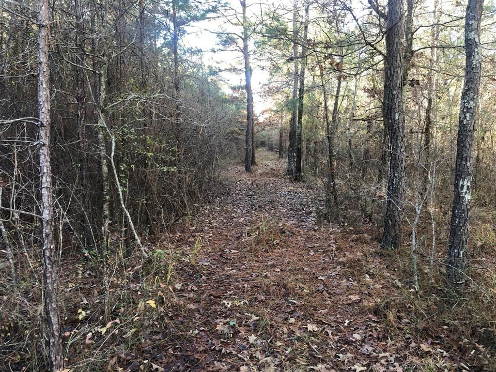 0 Highway 160 Property Photo 13