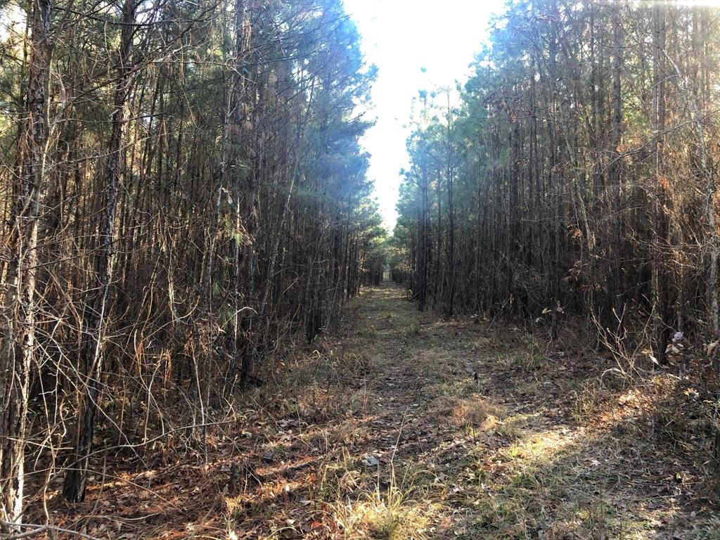 0 Highway 160 Property Photo 14