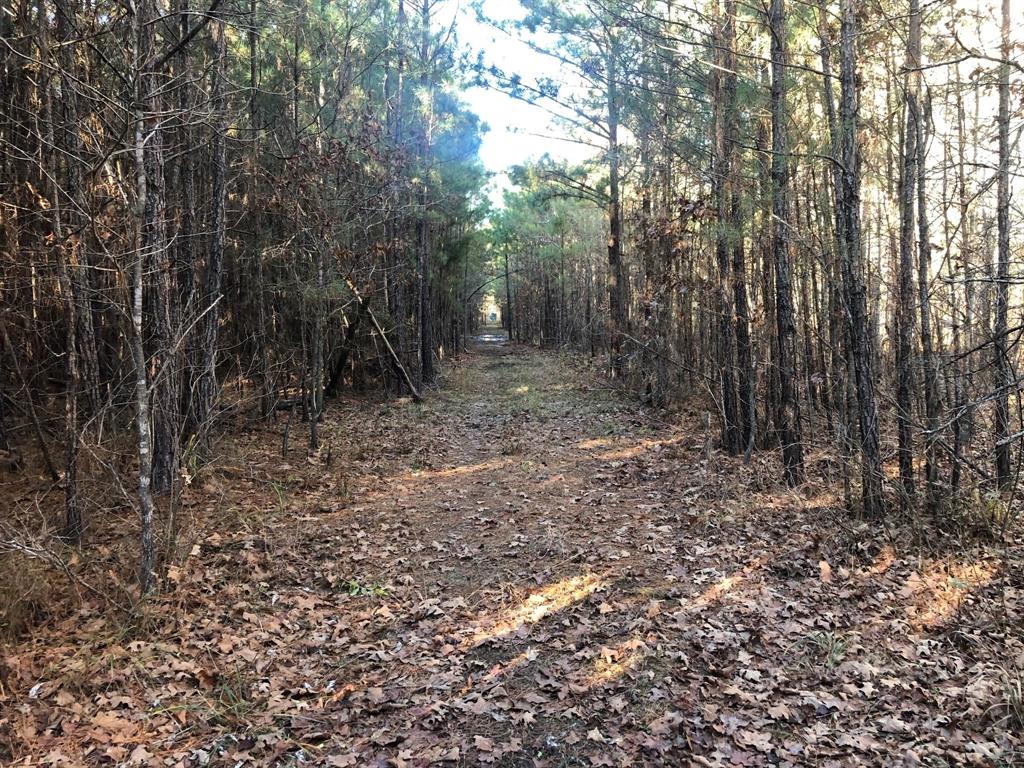 0 Highway 160 Property Photo 16