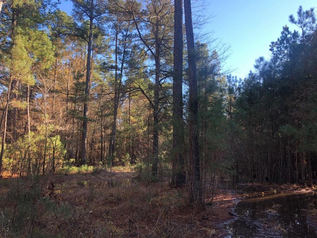 0 Highway 160 Property Photo 18
