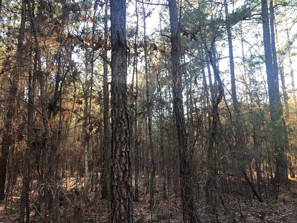 0 Highway 160 Property Photo 19