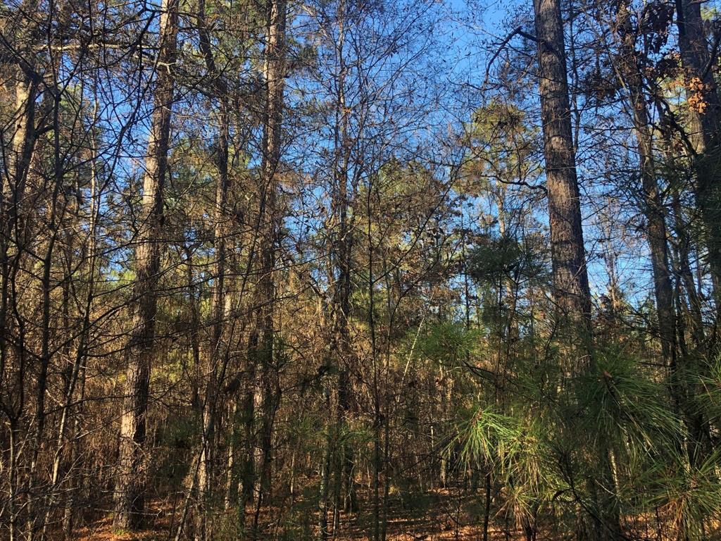 0 Highway 160 Property Photo 20