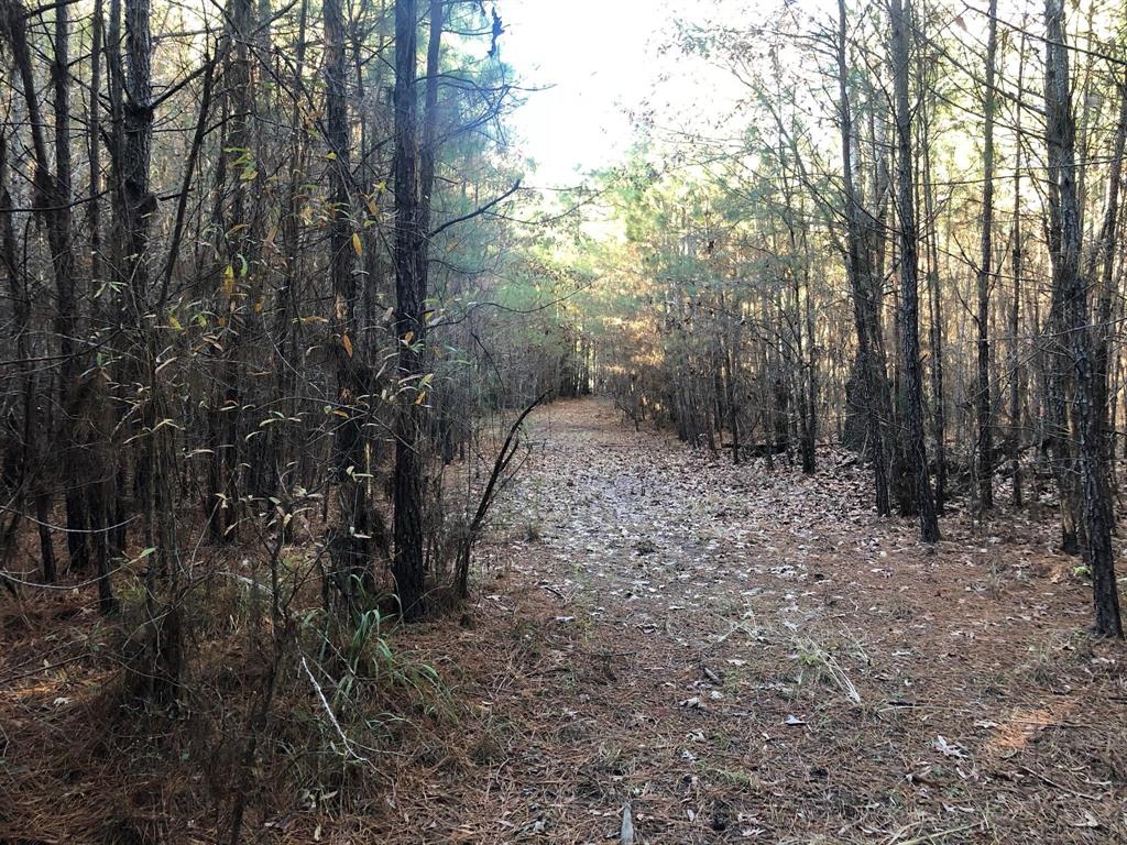 0 Highway 160 Property Photo 21