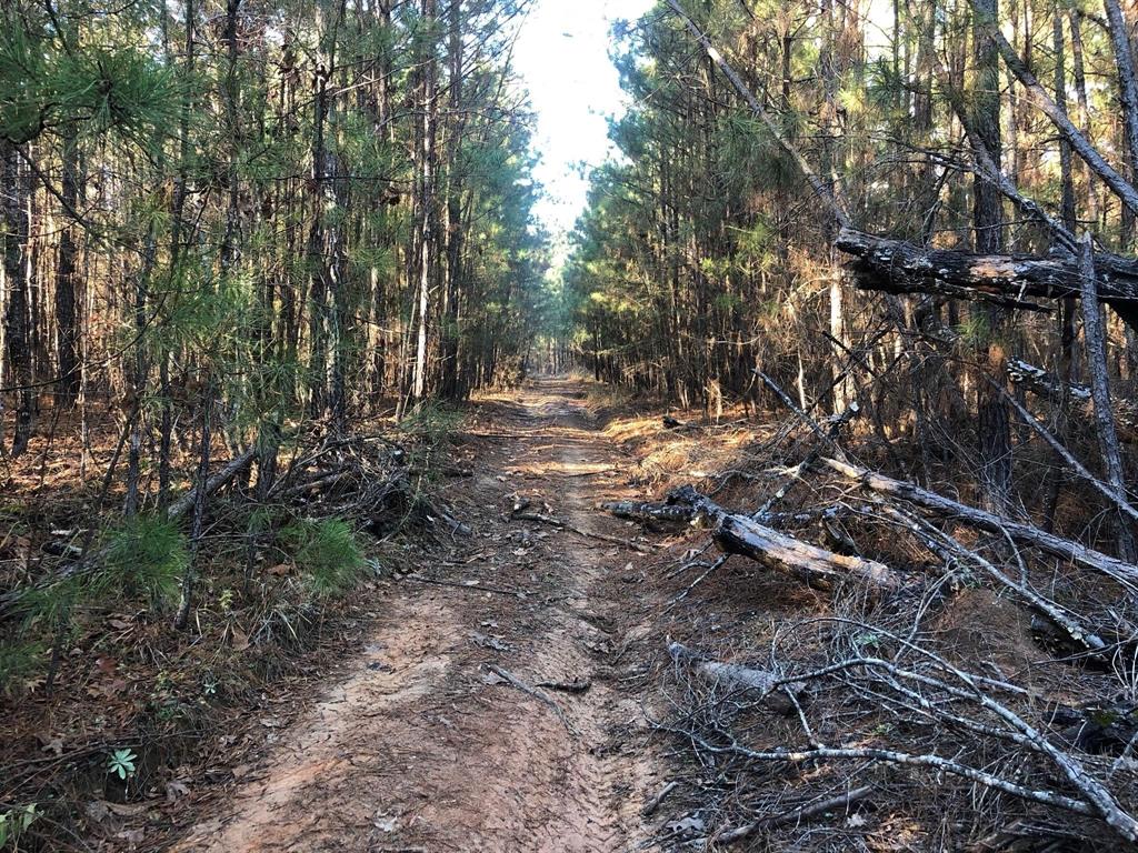 0 Highway 160 Property Photo 25