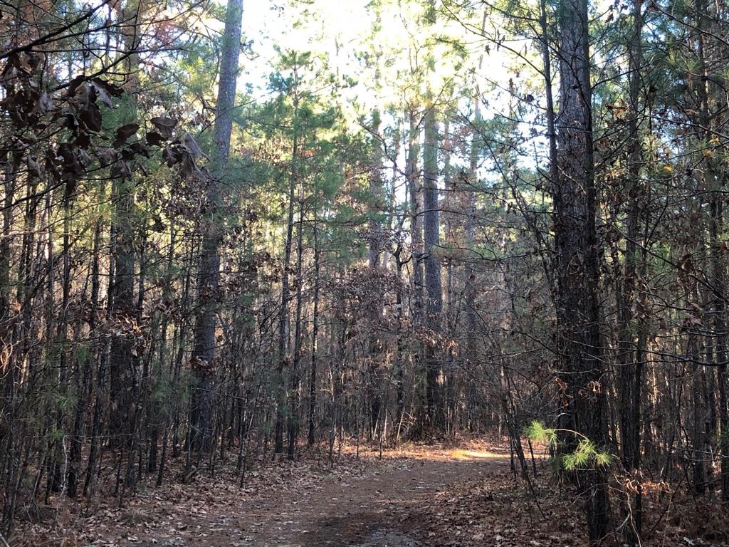 0 Highway 160 Property Photo 26