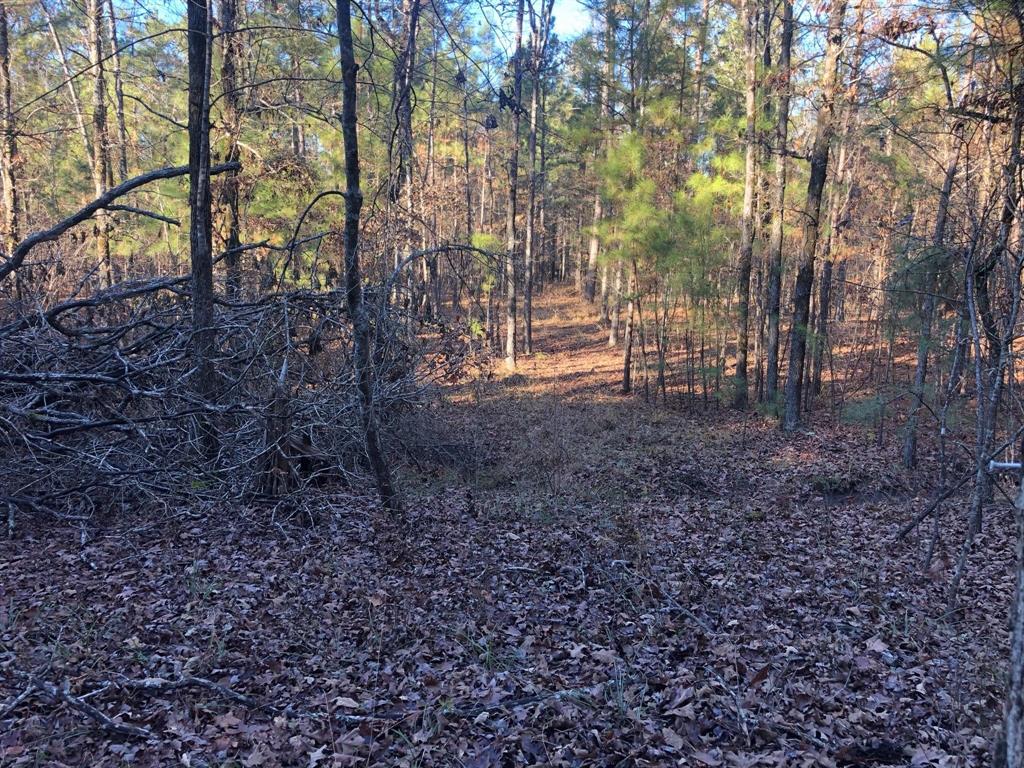 0 Highway 160 Property Photo 27