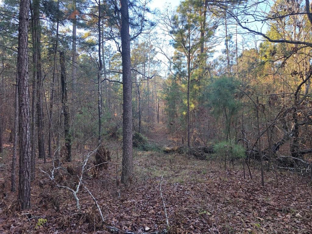 0 Highway 160 Property Photo 28