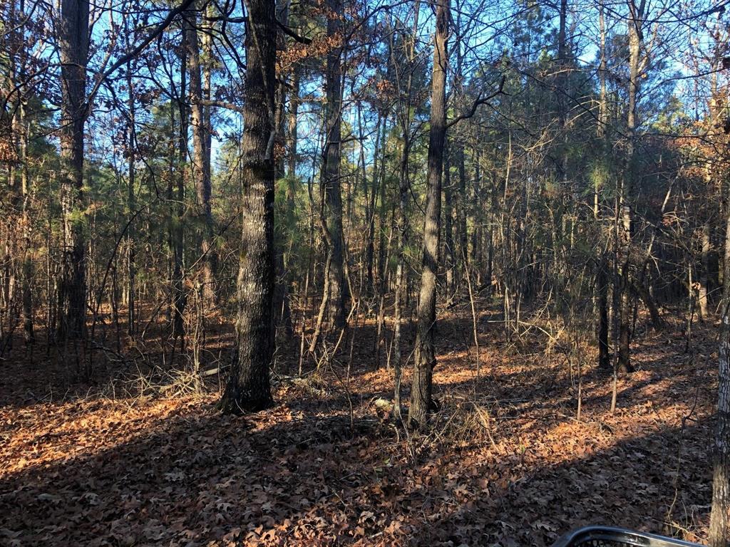 0 Highway 160 Property Photo 29